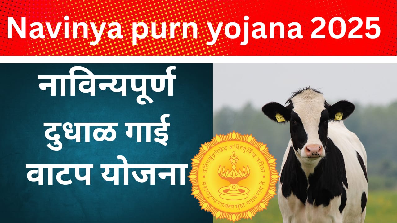 NAVINYA PURN YOJANA 2025: नाविन्यपूर्ण दुधाळ गाई वाटप योजना ,अटी पात्रता ,अनुदान ,कागदपत्रं