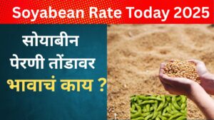 Soyabean Rate Today 2025